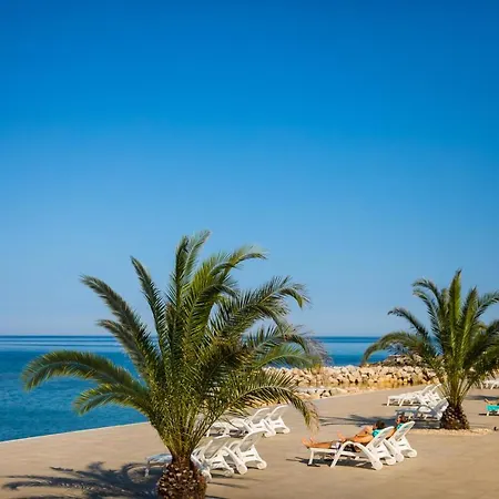 Amarea Novigrad Istria